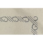 Polská lidová republika, SJEZD, ROK 1954, BLOK 13 ND B1 ** DVOJITÉ RÝHOVÁNÍ, ZÁRUKA
