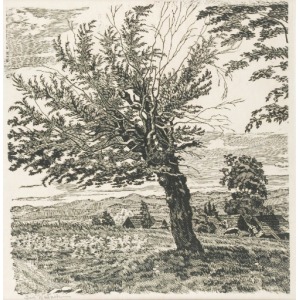 Jan WAŁACH (1884-1979), Drzewo