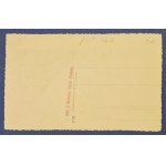 [Kresy, Polesie] Shrine. Photograph. S. Hochman, Stolin.