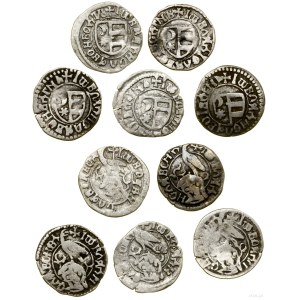zestaw 5 x dinar