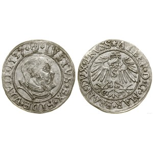 Duchy of Prussia (1525–1657), grosz, 1537, Königsberg