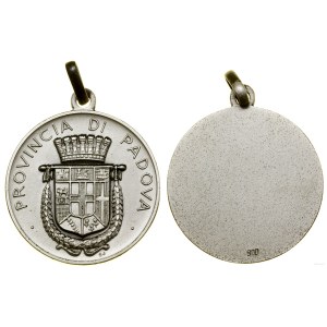 Italy, patriotic medallion