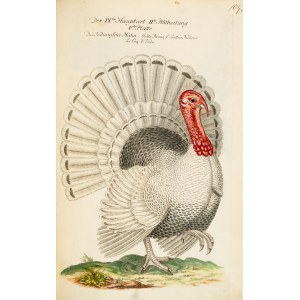 [Birds]. Frisch, Johann Leonhard. *An Introduction to the Birds of Germany*… Berlin 1733–1763.