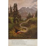 [A Tatra Fairy Tale]. Ten postcards with illustrations by Walery Eliasz Radzikowski. Kraków, n.d.