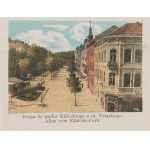 [Lviv—a small leporello-style album]. Eight views of the city (leporello, 6 x 8 cm when folded), mounted on a postcard featuring a view of Hetmańska Street.