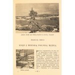 Ferdynand Antoni Ossendowski. Polish Forests. Poznań, n.d. [1936].
