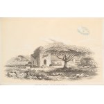 [Afryka]. Heuglin Theodor von. Reise nach Abessinien, den Gala-Ländern, Ost-Sudán und Chartúm in den Jahren 1861 und 1862. Jena 1868.