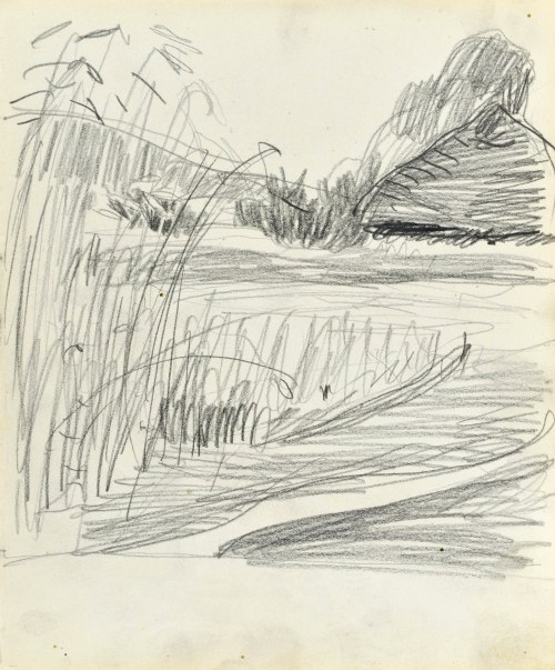 Stanisław KAMOCKI (1875-1944), Zboże z wiejską chałupą w dali, lato 1903