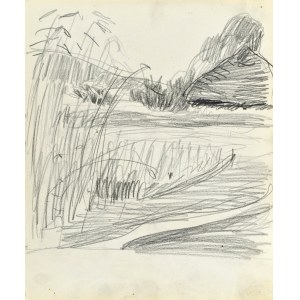 Stanisław KAMOCKI (1875-1944), Champ de blé avec une chaumière au loin, été 1903
