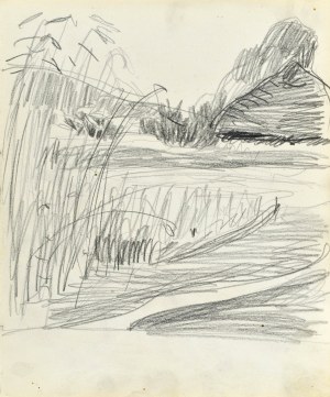 Stanisław KAMOCKI (1875-1944), Zboże z wiejską chałupą w dali, lato 1903