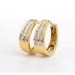 Diamond gold pair of earrings
