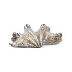 FEDERICO BUCCELLATI, Natural Marine Shell Mounted in Silver Italy, 20th century