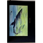 BREHM—THE LIFE OF ANIMALS, Vols. I–II [complete set] PUBLISHING FORMAT: Color plates, illustrations