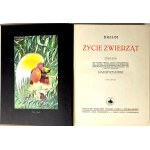 BREHM—THE LIFE OF ANIMALS, Vols. I–II [complete set] PUBLISHING FORMAT: Color plates, illustrations
