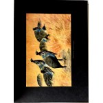 BREHM—THE LIFE OF ANIMALS, Vols. I–II [complete set] PUBLISHING FORMAT: Color plates, illustrations