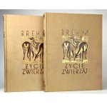 BREHM—THE LIFE OF ANIMALS, Vols. I–II [complete set] PUBLISHING FORMAT: Color plates, illustrations