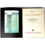 BREHM—THE LIFE OF ANIMALS, Vols. I–II [complete set] PUBLISHING FORMAT: Color plates, illustrations