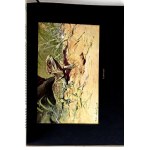 BREHM—THE LIFE OF ANIMALS, Vols. I–II [complete set] PUBLISHING FORMAT: Color plates, illustrations