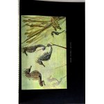 BREHM—THE LIFE OF ANIMALS, Vols. I–II [complete set] PUBLISHING FORMAT: Color plates, illustrations