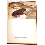 CENTKIEWICZ - LA FOCA BIANCA, 1ª ed., 1938