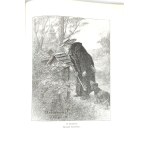 GLOGER—A YEAR IN POLISH LIFE, TRADITION, AND SONG, published in 1900. First edition, with 40 illustrations by ANDRIOLLI, KOSSAK, and others