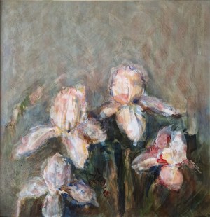 Jolanta Żuk-Orysiak, Irysy