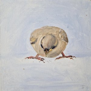 Bogna Gniazdowska, A Sparrow Hops Down the Street, Picking Up Whatever Falls, 2014