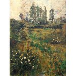 Krzysztof Gocek, Landscape