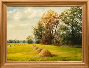 Ziemka Zygmunt