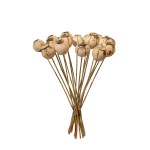Ceramic Flowers, Poppy Heads - Bouquet (20 pcs.), 2026