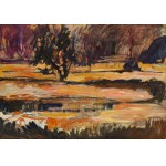 Barbara Bokota-Tomala (ur. 1967, Ropczyce), 