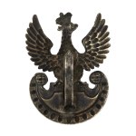 Eagle Model 17, 5th Infantry Regiment, unrecorded