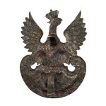 Eagle, Model 17, Grynszpan, Warsaw, 1916, 6th Infantry Regiment of the Legions