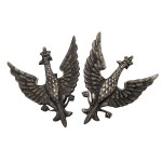 A pair of eagles for a certified officer