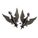 A pair of eagles for a certified officer