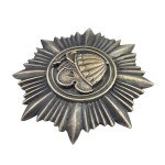Abzeichen des 5. Panzerbataillons „Malina“ Krakau