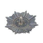 Abzeichen des 5. Panzerbataillons „Malina“ Krakau