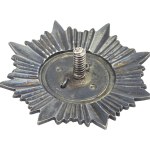 Abzeichen des 5. Panzerbataillons „Malina“ Krakau
