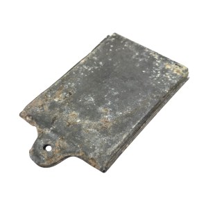 Model 20 Dog Tag