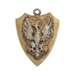 Patriotic Medal with an Eagle
