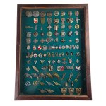 Display case with replicas of PSZnZ badges (2)