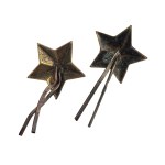 A pair of officer stars