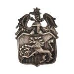 6th Lviv Division Badge