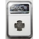 Sigismund I the Old, Szeląg, 1531, Gdańsk, NGC XF details