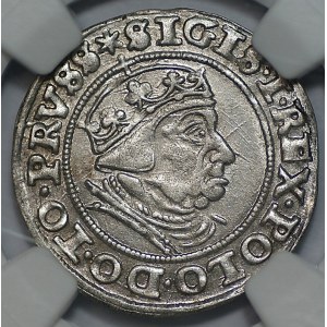 Zygmunt I Stary, Grosz Gdańsk 1540, NGC MS 61
