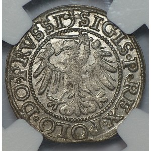 Sigismund I the Old, 1538 shilling, Elbląg, NGC AU 58