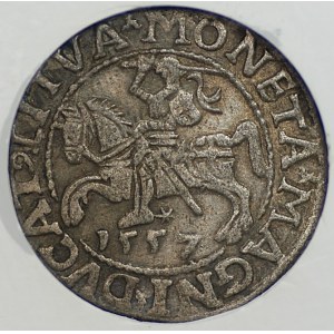 Sigismund II. August, Halbgroschen, Vilnius 1557, GCN XF 45