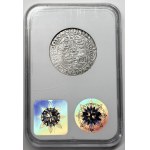 Sigismund III Vasa, Ort, Bydgoszcz, 1624, GCN XF 45