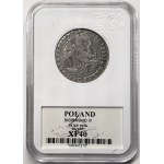 Sigismund III Vasa, Ort Bydgoszcz 1624, GCN XF 40