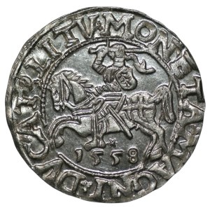 Sigismund II. August, Halbgroschen 1558, Vilnius – LI/LITV